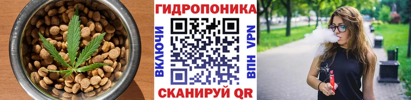Печенье с ТГК марихуана  нарко площадка как зайти  Питкяранта 