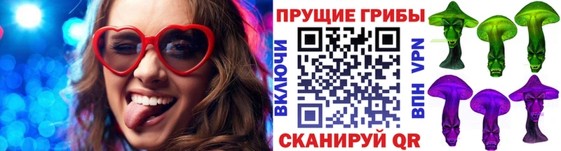 Псилоцибиновые грибы мицелий  Питкяранта 