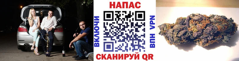 Каннабис сатива  кракен как войти  Питкяранта 